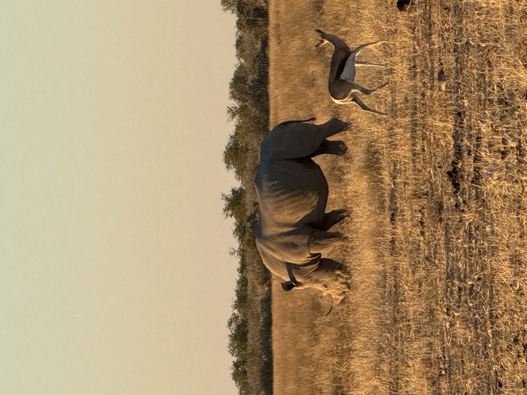 Namibia